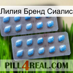 Лилия Бренд Сиалис viagra4